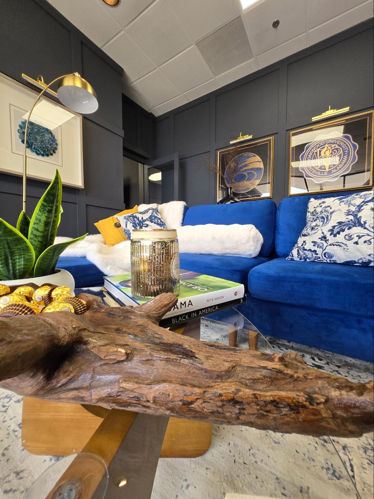 Presidential executive suite by Vinette Brown Dye — view 14